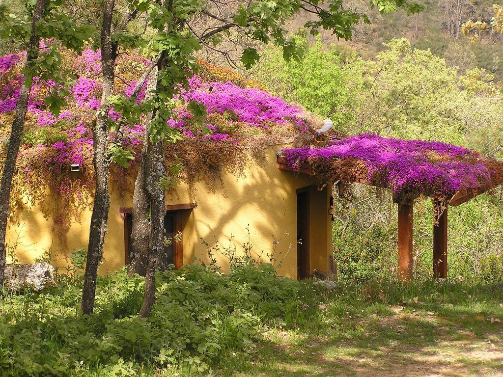 Apartamentos Rurales Ecopangea Valverde de la Vera Chambre photo
