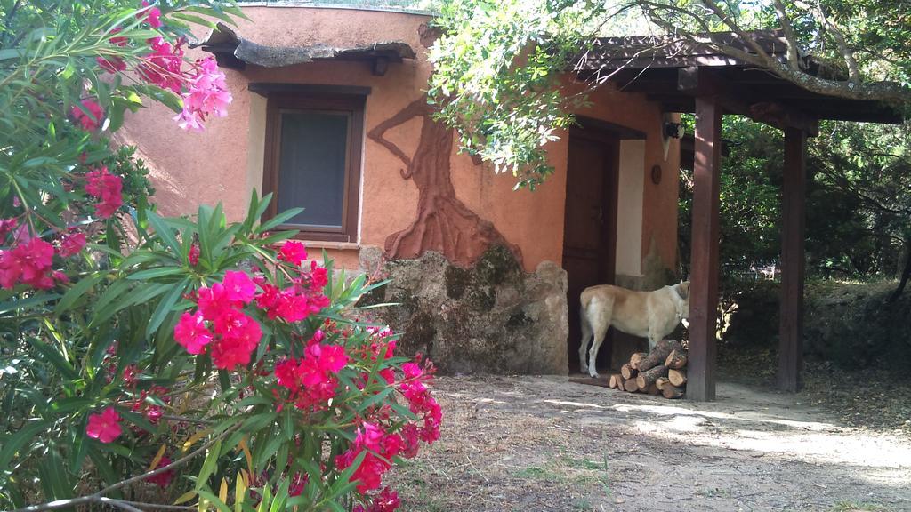 Apartamentos Rurales Ecopangea Valverde de la Vera Extérieur photo
