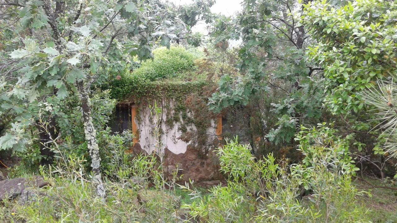 Apartamentos Rurales Ecopangea Valverde de la Vera Extérieur photo
