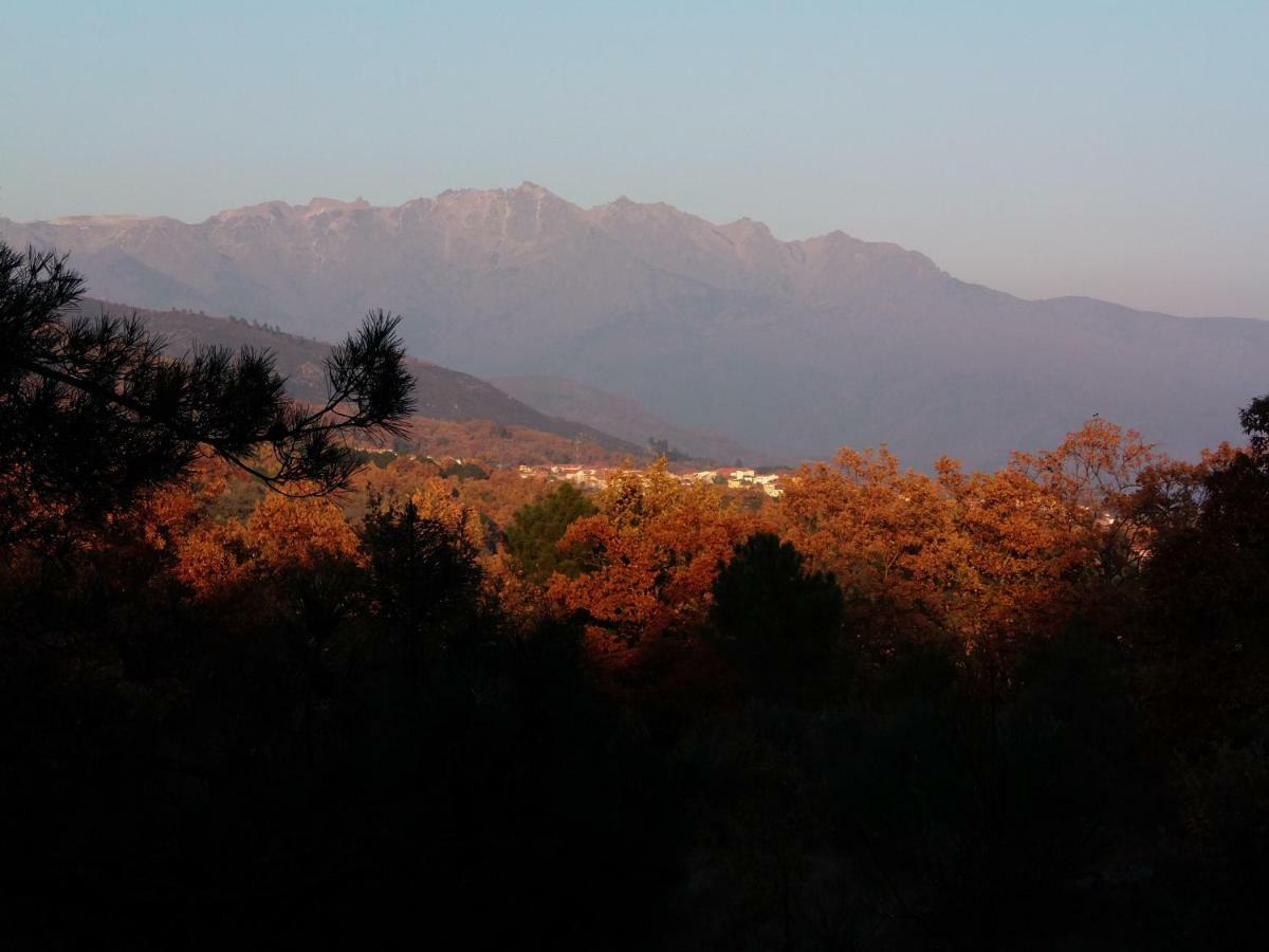 Apartamentos Rurales Ecopangea Valverde de la Vera Extérieur photo