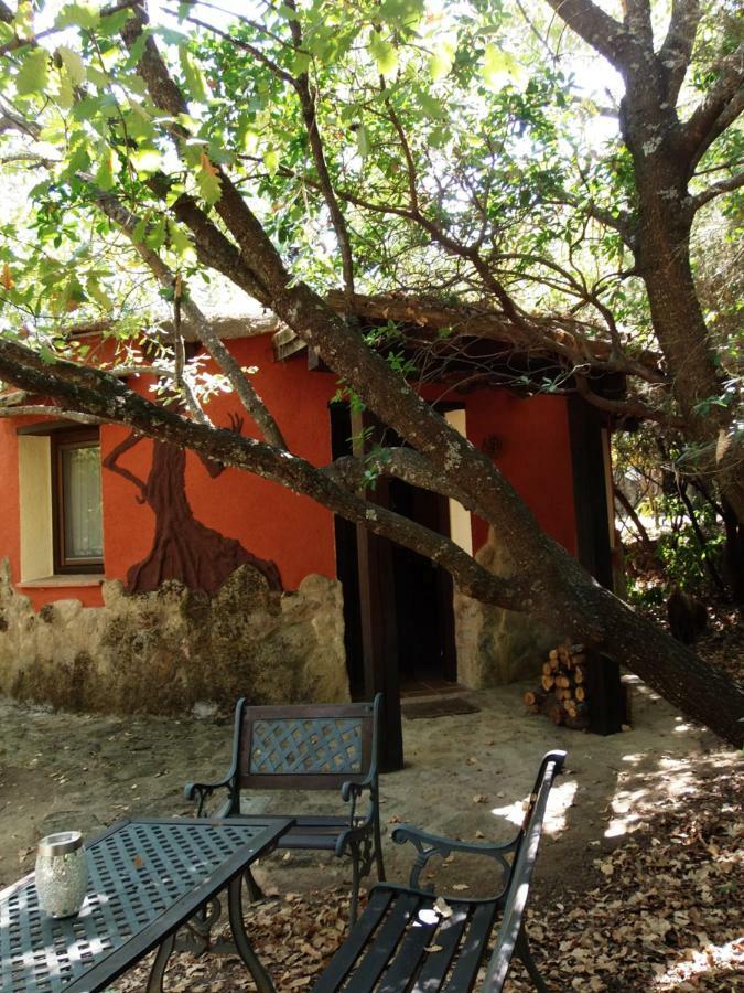 Apartamentos Rurales Ecopangea Valverde de la Vera Extérieur photo